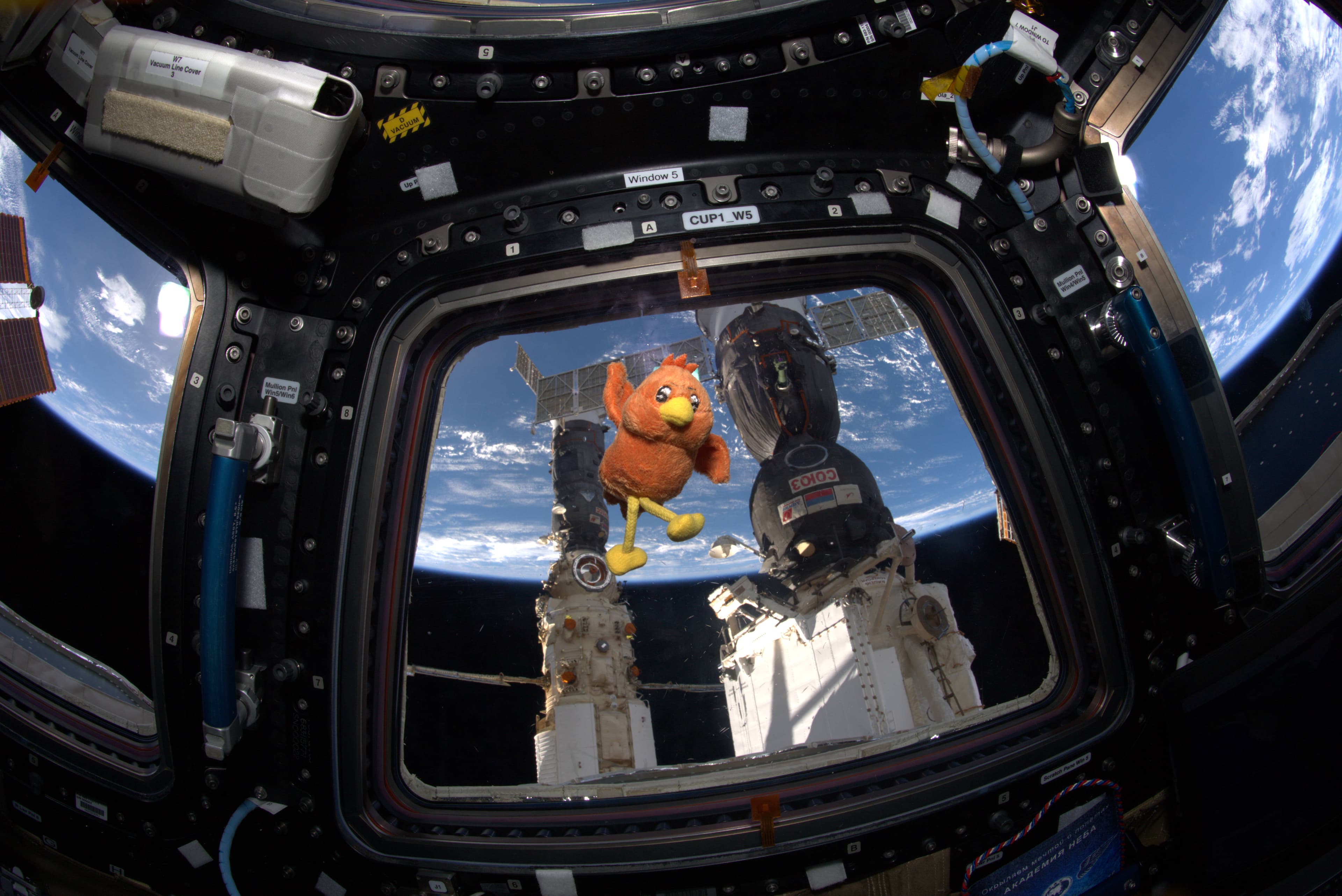 Boopy at the Space Station window, Earth below
