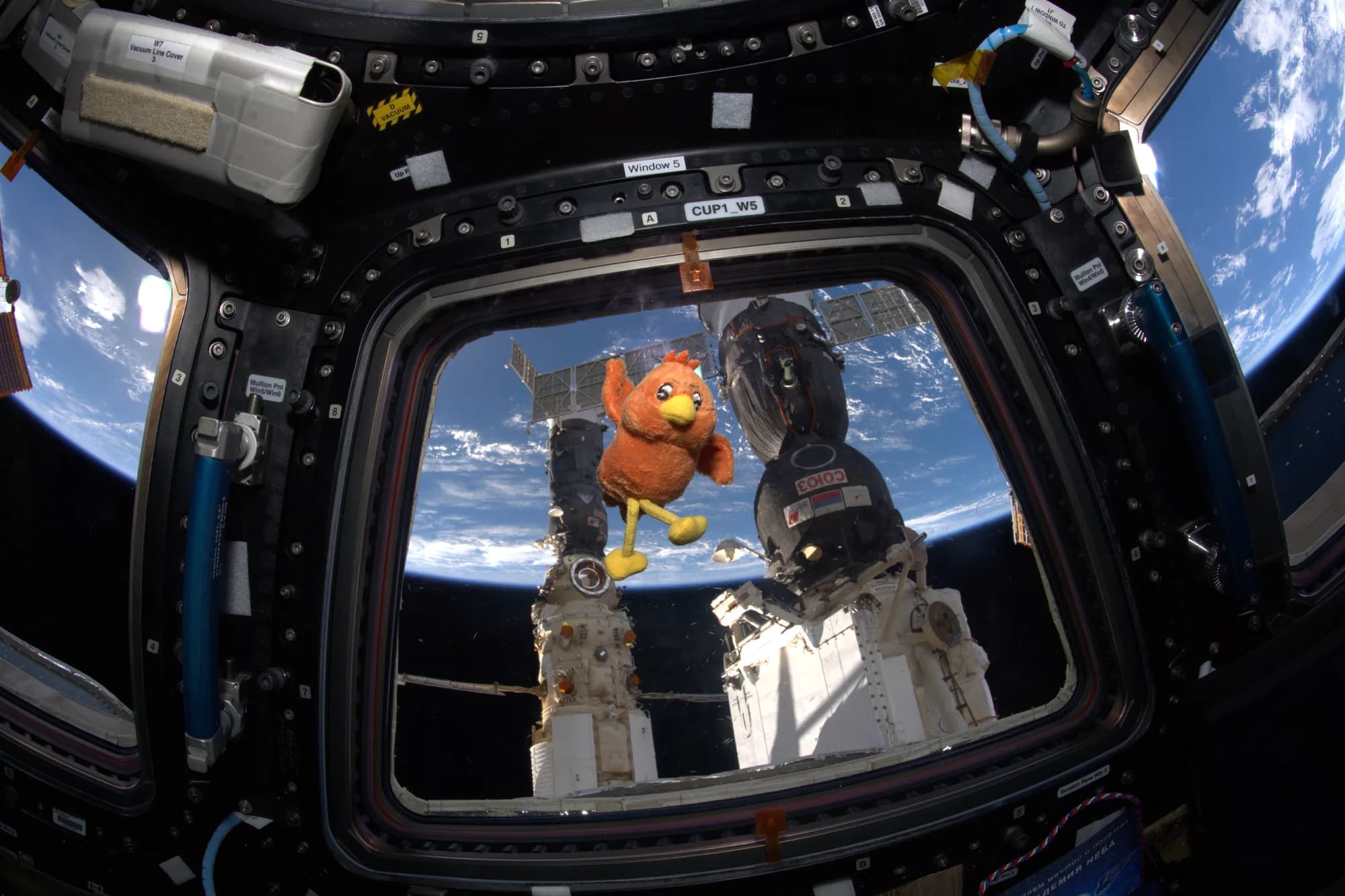 Boopy aboard the International Space Station