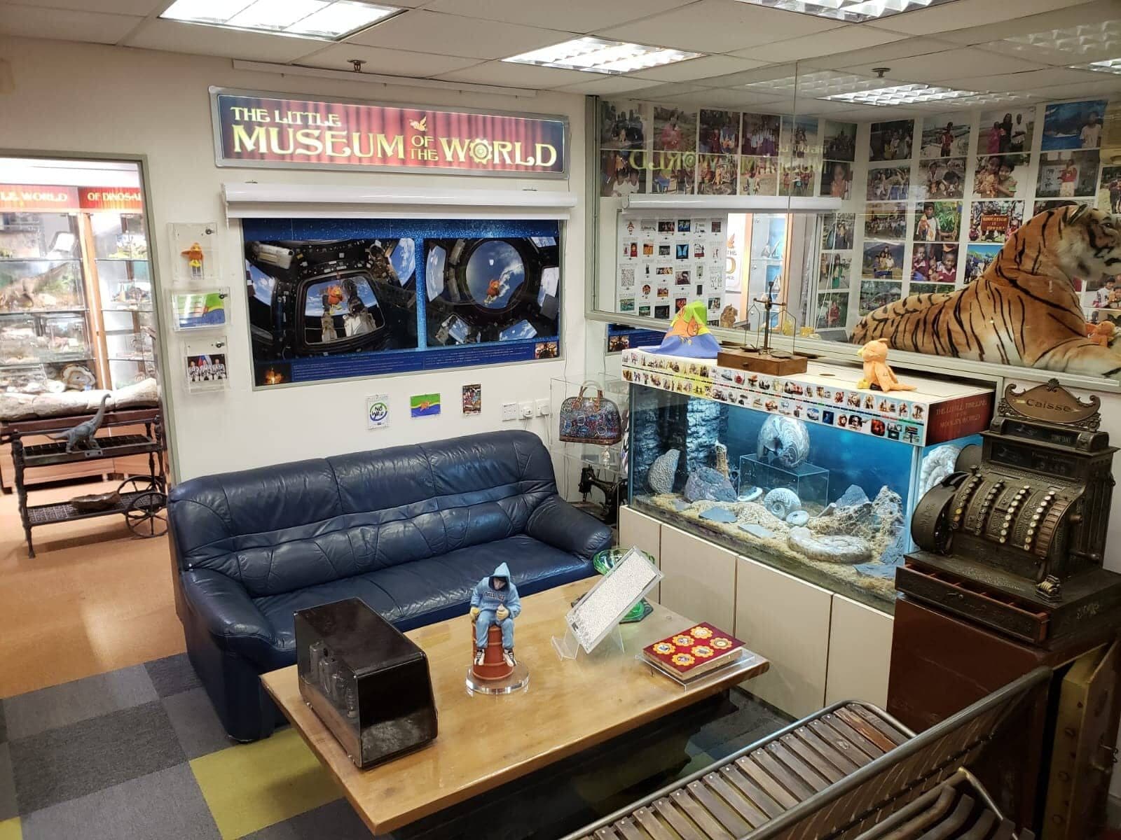 A display of the museum's collection