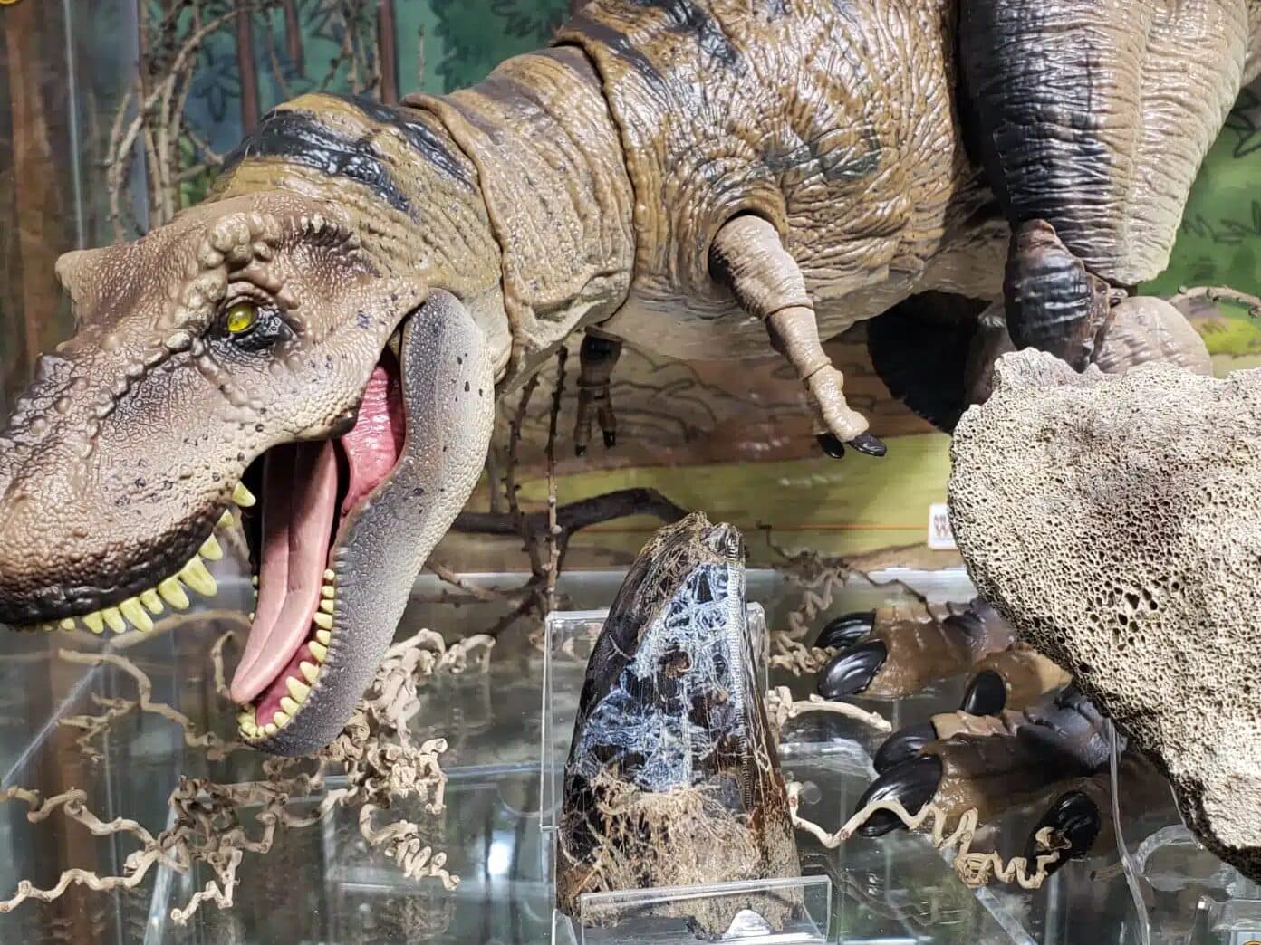 Dinosaur Fossils