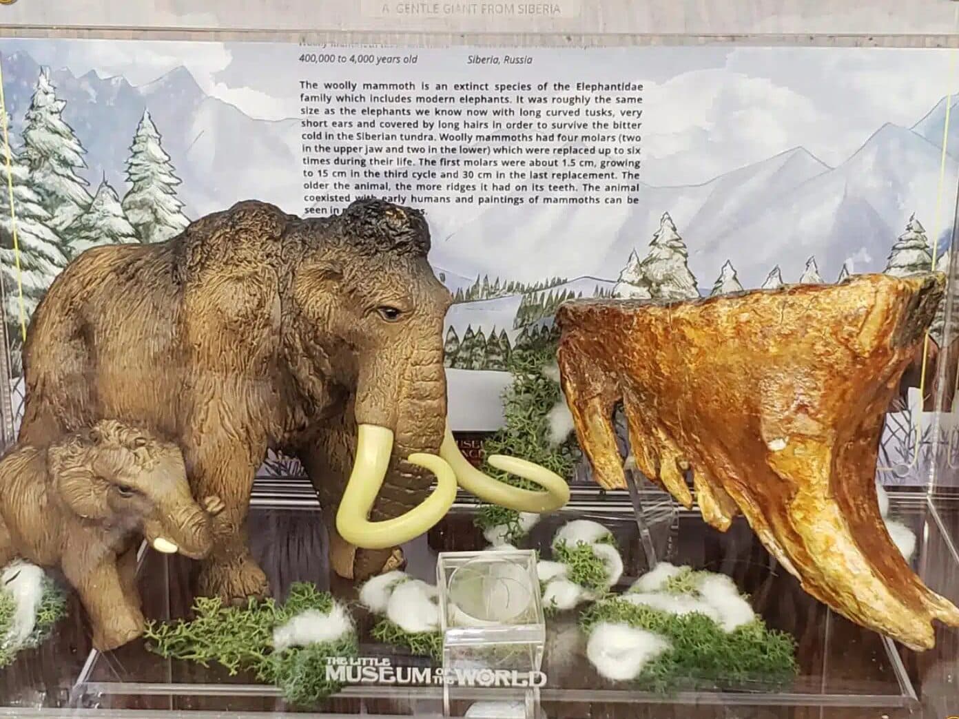 Mammoths