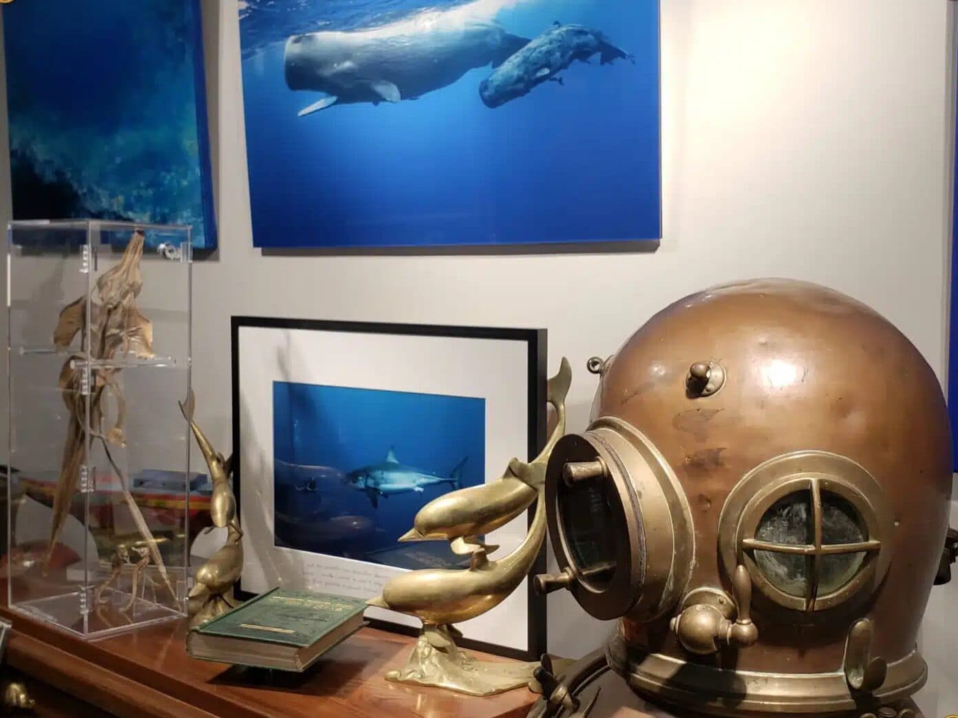 Marine Life