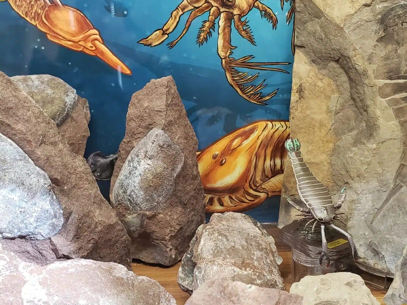 Older Fossils