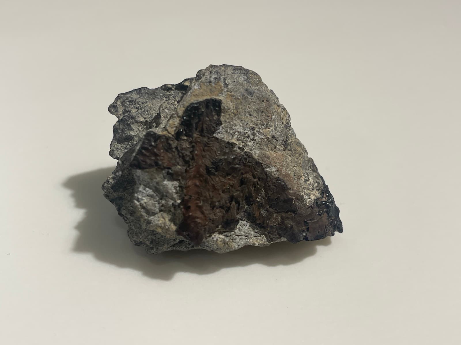 Vesta Meteorite