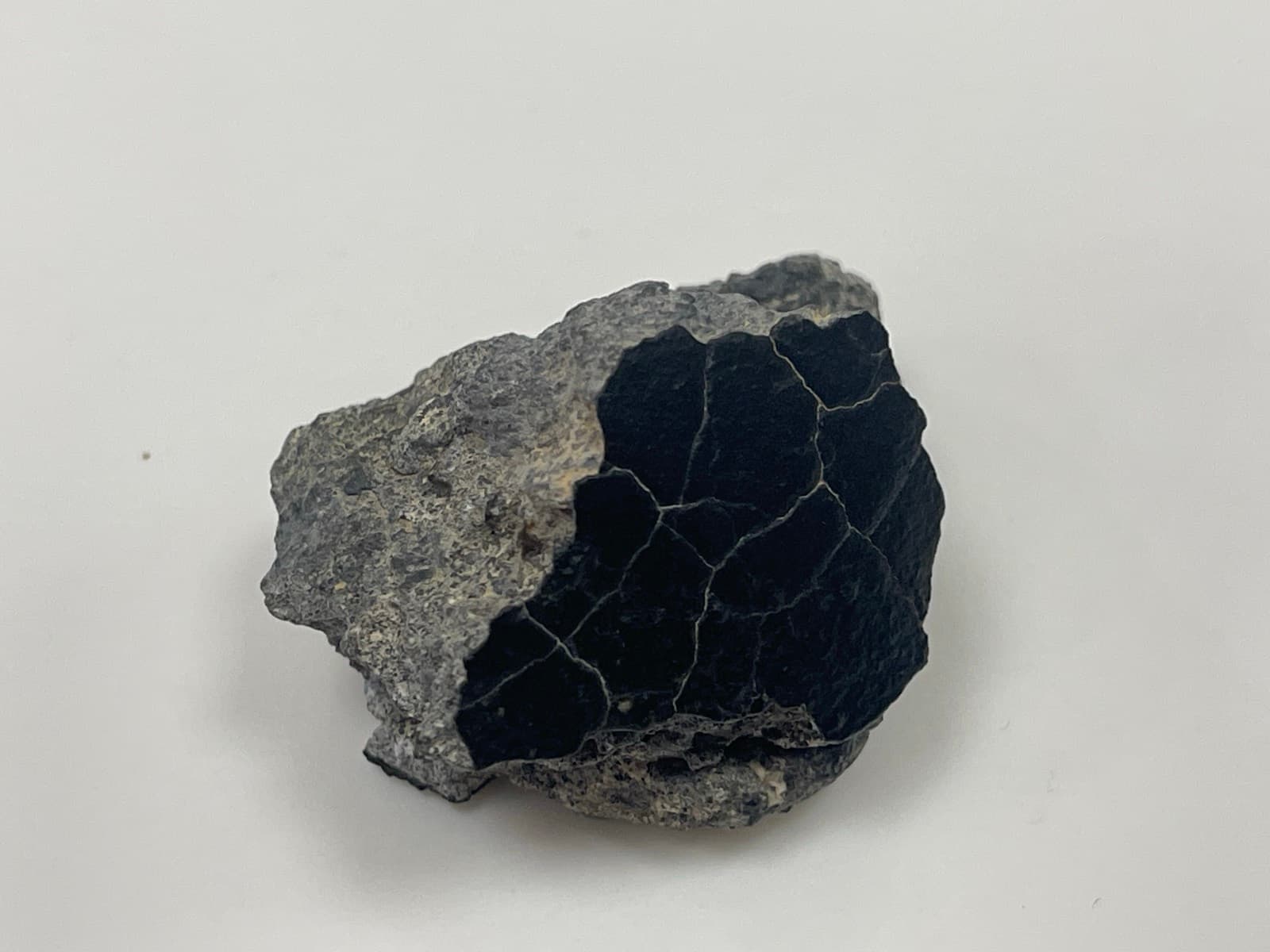 Vesta Meteorite, view 4