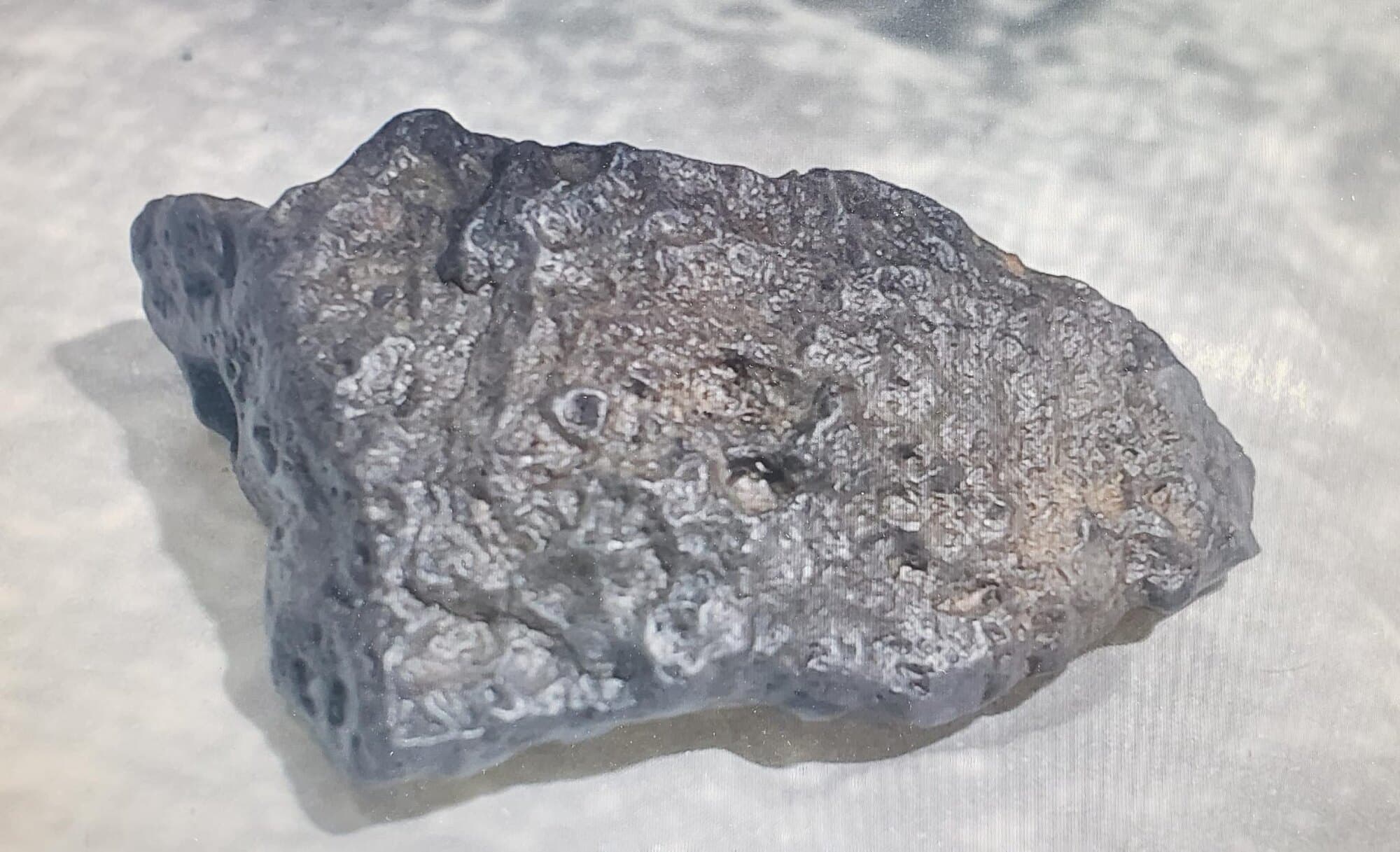 Lunar Meteorite