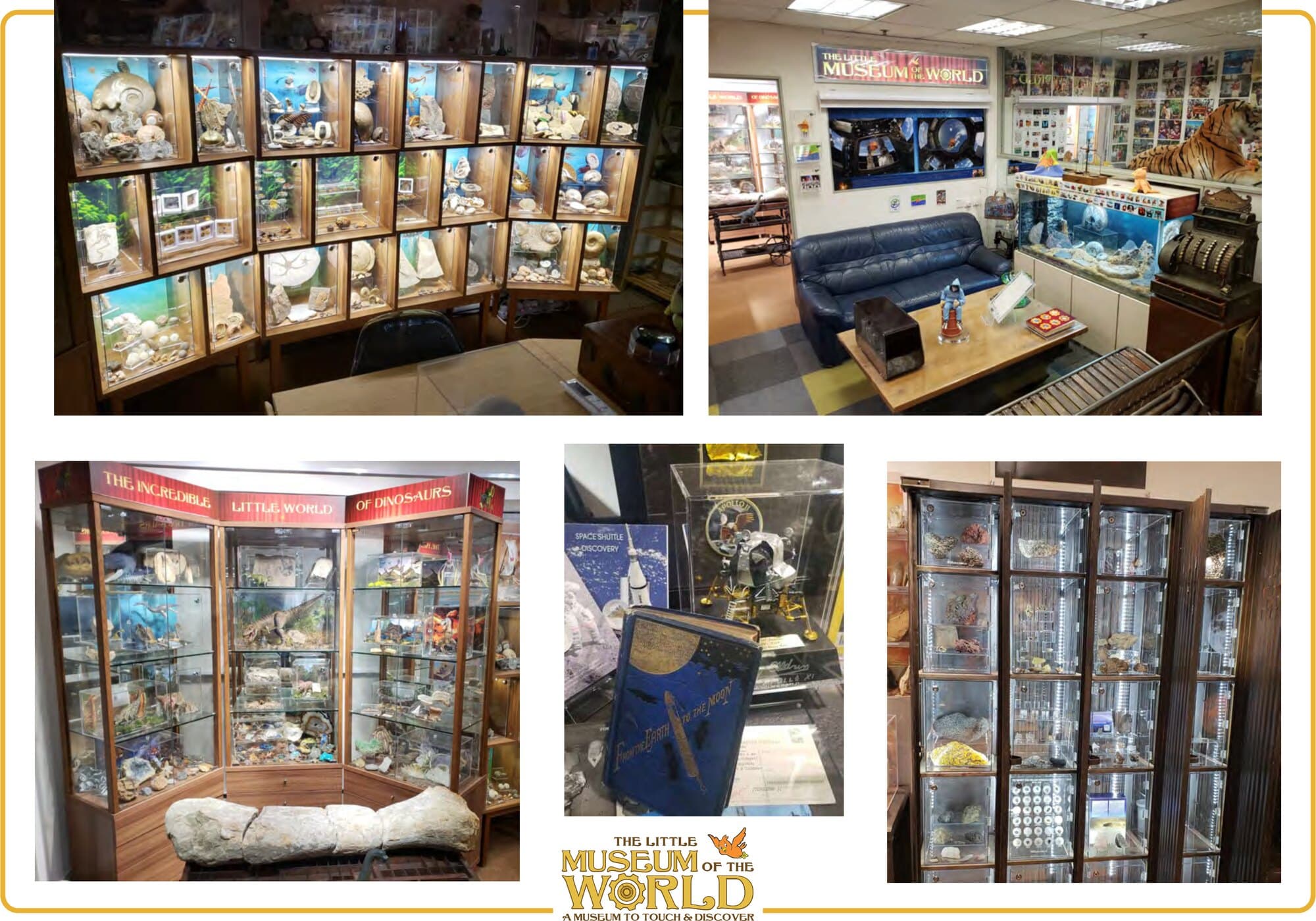 Inside the museum: display rooms and cabinets of The Little Museum of the World