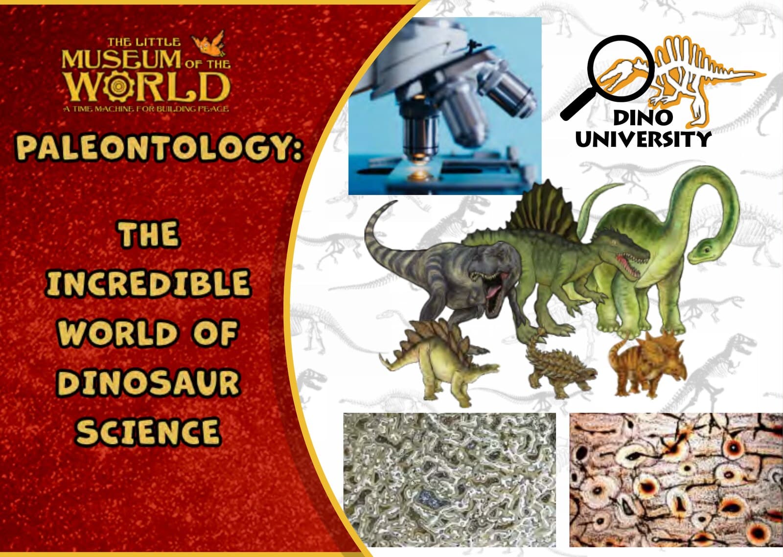 Paleontology: The Incredible World of Dinosaur Science