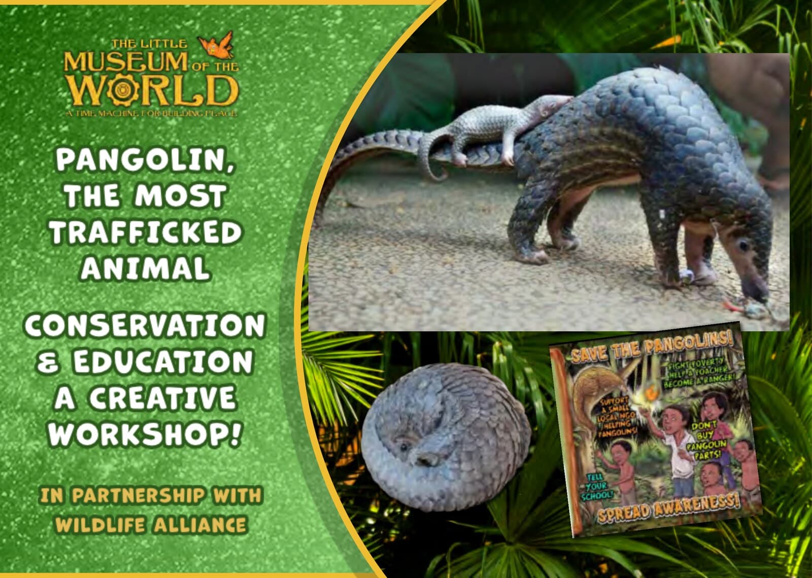 Pangolin, the Most Trafficked Animal
